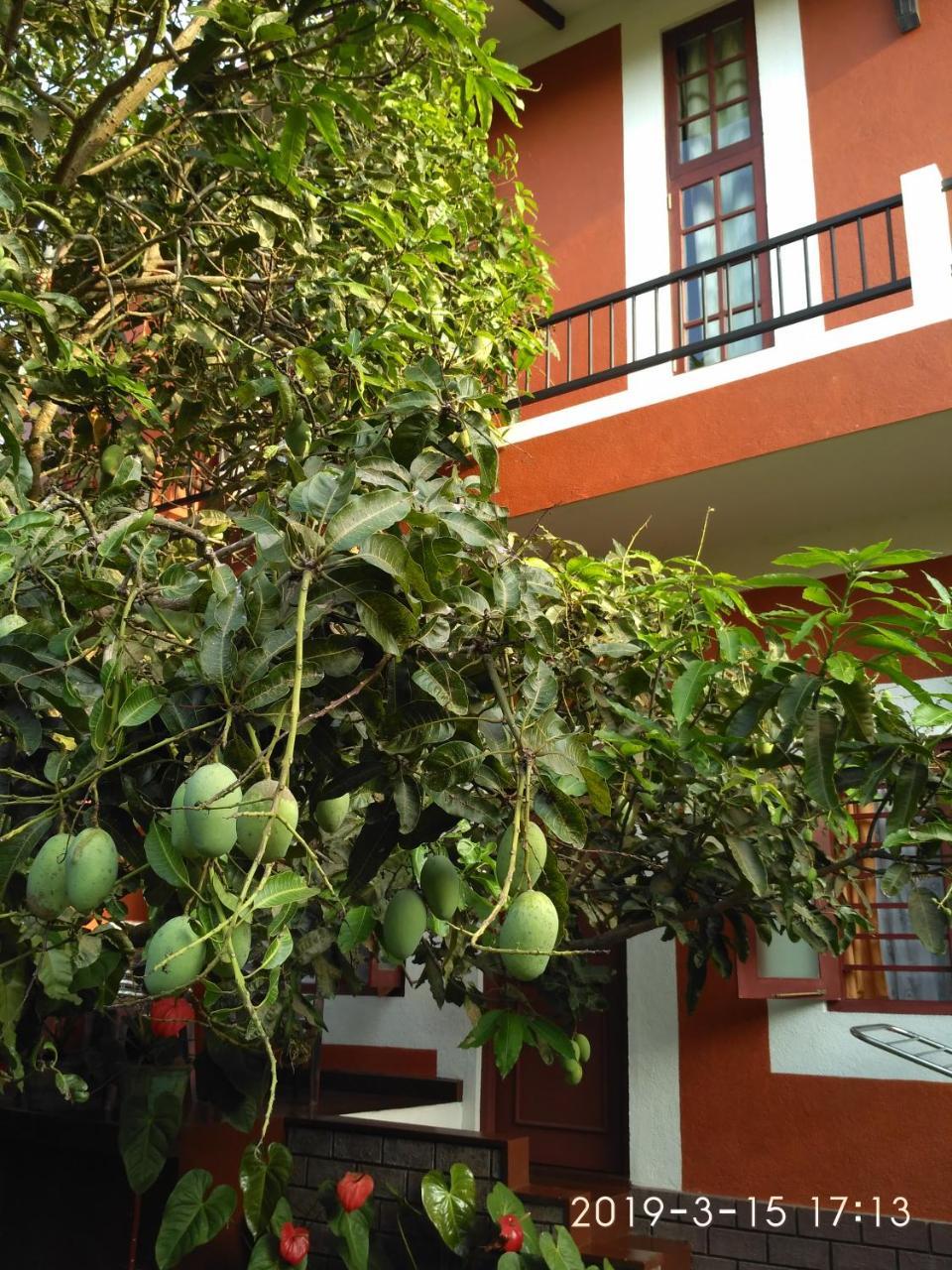 Nilas Guesthouse Hikkaduwa Ngoại thất bức ảnh